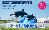神戸須磨シーワールド入場券　３枚セット（有効期限：～2026年3月31日）