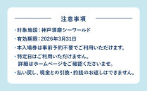 神戸須磨シーワールド入場券　３枚セット（有効期限：～2026年3月31日）