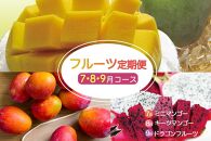 【2024年発送】沖縄フルーツ定期便（7・8・9月コース）