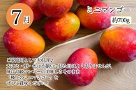【2024年発送】沖縄フルーツ定期便（7・8・9月コース）