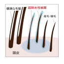 【黒髪向け】医薬部外品&nbsp;育毛・発毛促進剤&nbsp;ドライドライド&nbsp;クイックインパクト&nbsp;120mL