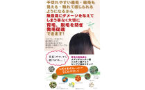 【ブラウン系の髪に】医薬部外品&nbsp;育毛・発毛促進剤&nbsp;ドライドライド&nbsp;クイックインパクト&nbsp;120mL