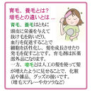 【ブラウン系の髪に】医薬部外品&nbsp;育毛・発毛促進剤&nbsp;ドライドライド&nbsp;コンフォート&nbsp;120mL