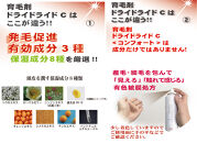 【ブラウン系の髪に】医薬部外品&nbsp;育毛・発毛促進剤&nbsp;ドライドライド&nbsp;コンフォート&nbsp;120mL