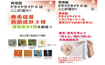 【ブラウン系の髪に】医薬部外品&nbsp;育毛・発毛促進剤&nbsp;ドライドライド&nbsp;コンフォート&nbsp;120mL