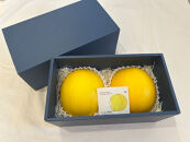 鳥取県琴浦町産　エリザベスメロン　秀品　2玉入り（約2kg）