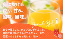 『さぬきの極』&nbsp;有機金時みかんジュース&nbsp;|&nbsp;ジュース&nbsp;みかんジュース&nbsp;みかん&nbsp;ミカンジュース&nbsp;ミカン&nbsp;有機金時みかん&nbsp;飲料&nbsp;ドリンク&nbsp;食品&nbsp;人気&nbsp;おすすめ&nbsp;香川県&nbsp;坂出市