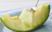 【先行予約】 北海道産青肉メロン約1.3kg×1玉 (2026年7月中旬から発送予定)【 果物 くだもの フルーツ メロン 青肉 青肉メロン 旬 お取り寄せ 甘い 北海道産 旭川市 北海道 】_05289