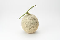 【先行予約】 北海道産青肉メロン約1.3kg×1玉 (2026年7月中旬から発送予定)【 果物 くだもの フルーツ メロン 青肉 青肉メロン 旬 お取り寄せ 甘い 北海道産 旭川市 北海道 】_05289