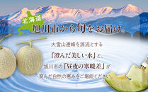 【先行予約】&nbsp;北海道産青肉メロン約1.3kg×1玉&nbsp;(2026年7月中旬から発送予定)【&nbsp;果物&nbsp;くだもの&nbsp;フルーツ&nbsp;メロン&nbsp;青肉&nbsp;青肉メロン&nbsp;旬&nbsp;お取り寄せ&nbsp;甘い&nbsp;北海道産&nbsp;旭川市&nbsp;北海道&nbsp;】_05289