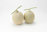 【先行予約】 北海道産青肉メロン約1.3kg×2玉 (2026年7月中旬から発送予定)【 果物 くだもの フルーツ メロン 青肉 青肉メロン 旬 お取り寄せ 甘い 北海道産 旭川市 北海道 】_05290