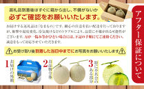 【先行予約】&nbsp;北海道産青肉メロン約1.3kg×2玉&nbsp;(2026年7月中旬から発送予定)【&nbsp;果物&nbsp;くだもの&nbsp;フルーツ&nbsp;メロン&nbsp;青肉&nbsp;青肉メロン&nbsp;旬&nbsp;お取り寄せ&nbsp;甘い&nbsp;北海道産&nbsp;旭川市&nbsp;北海道&nbsp;】_05290