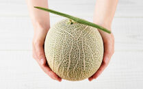 【先行予約】 北海道産青肉メロン約1.6kg×2玉 (2026年7月中旬から発送予定)【 果物 くだもの フルーツ メロン 青肉 青肉メロン 旬 お取り寄せ 甘い 北海道産 旭川市 北海道 】_05291