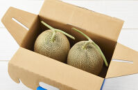 【先行予約】 北海道産青肉メロン約1.6kg×2玉 (2026年7月中旬から発送予定)【 果物 くだもの フルーツ メロン 青肉 青肉メロン 旬 お取り寄せ 甘い 北海道産 旭川市 北海道 】_05291