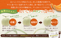 【先行予約】&nbsp;北海道産青肉メロン約1.6kg×2玉&nbsp;(2026年7月中旬から発送予定)【&nbsp;果物&nbsp;くだもの&nbsp;フルーツ&nbsp;メロン&nbsp;青肉&nbsp;青肉メロン&nbsp;旬&nbsp;お取り寄せ&nbsp;甘い&nbsp;北海道産&nbsp;旭川市&nbsp;北海道&nbsp;】_05291