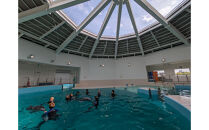 ノアドルフィンドーム&nbsp;ペア入場券