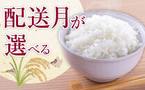 【8月発送】令和7年産旭川産ゆめぴりか5kg(精白米)【&nbsp;白米&nbsp;精米&nbsp;ご飯&nbsp;ごはん&nbsp;米&nbsp;お米&nbsp;ゆめぴりか&nbsp;旭川産&nbsp;&nbsp;旭川市ふるさと納税&nbsp;北海道ふるさと納税&nbsp;特A&nbsp;ふるさと納税&nbsp;旭川市&nbsp;北海道&nbsp;】_05311