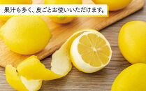 【30箱限定】皮まで美味しい無農薬レモン　家庭用1.6kg