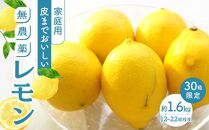 【30箱限定】皮まで美味しい無農薬レモン　家庭用1.6kg