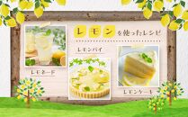 【月間50箱限定】皮まで美味しい無農薬レモン 約1kg