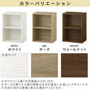【完成品でお届け】カラーボックス〔2段〕（ホワイト）カラーボックス&nbsp;2段&nbsp;横置き&nbsp;a4&nbsp;奥行30cm&nbsp;幅40cm&nbsp;高さ60cm&nbsp;ミニ&nbsp;本棚&nbsp;大容量&nbsp;おしゃれ&nbsp;収納棚&nbsp;収納ボックス&nbsp;ロータイプ&nbsp;コミック&nbsp;AKANBR920135-0-WH