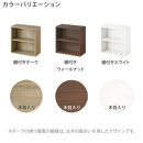 【完成品でお届け】木製収納ボックス〔薄型タイプ・棚付きタイプ〕（ホワイト）キューブボックス&nbsp;扉付き&nbsp;カラーボックス&nbsp;スリム&nbsp;本棚&nbsp;本&nbsp;漫画&nbsp;コミック&nbsp;小物&nbsp;収納&nbsp;CD&nbsp;DVD&nbsp;収納ボックス&nbsp;キューブラック&nbsp;LKANET300166-8-WH