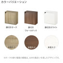 【完成品でお届け】木製収納ボックス〔薄型タイプ・扉付きタイプ〕（オーク）キューブボックス&nbsp;扉付き&nbsp;カラーボックス&nbsp;スリム&nbsp;本棚&nbsp;本&nbsp;漫画&nbsp;コミック&nbsp;小物&nbsp;収納&nbsp;CD&nbsp;DVD&nbsp;収納ボックス&nbsp;キューブラック&nbsp;LKANET300166-9-OAK