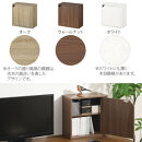 【完成品でお届け】木製収納ボックス〔薄型タイプ〕（ウォールナット）キューブボックス&nbsp;扉付き&nbsp;棚付き&nbsp;カラーボックス&nbsp;木製&nbsp;本棚&nbsp;薄型&nbsp;約&nbsp;幅35&nbsp;小物&nbsp;漫画&nbsp;コミック&nbsp;収納ボックス&nbsp;キューブ&nbsp;型&nbsp;隠す収納&nbsp;棚&nbsp;収納箱&nbsp;LKANET300243-0-WAL