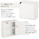 【完成品でお届け】木製収納ボックス〔薄型タイプ〕（オーク）キューブボックス&nbsp;扉付き&nbsp;棚付き&nbsp;カラーボックス&nbsp;木製&nbsp;本棚&nbsp;薄型&nbsp;約&nbsp;幅35&nbsp;小物&nbsp;漫画&nbsp;コミック&nbsp;収納ボックス&nbsp;キューブ&nbsp;型&nbsp;隠す収納&nbsp;棚&nbsp;収納箱&nbsp;LKANET300243-0-OAK