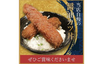 新名古屋メシ　わだ泉の醤油カツと秘伝のタレ