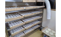 出雲の餅専門店からお届けする馬木産「仁多米丸餅セット」