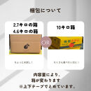 【ふるさと納税】有田みかん&nbsp;極早生&nbsp;4.6kg（箱込み5kg）&nbsp;家庭用&nbsp;S～２Lサイズ&nbsp;混合&nbsp;【2025年10月下旬～11月頃発送】&nbsp;柑橘&nbsp;フルーツみかん&nbsp;産地直送&nbsp;お取り寄せ&nbsp;送料無料