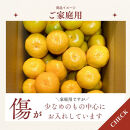 【ふるさと納税】有田みかん&nbsp;極早生&nbsp;10kg&nbsp;家庭用&nbsp;S～２Lサイズ&nbsp;混合&nbsp;【2025年10月下旬～11月頃発送】&nbsp;&nbsp;&nbsp;柑橘&nbsp;フルーツ&nbsp;みかん&nbsp;産地直送&nbsp;お取り寄せ&nbsp;送料無料