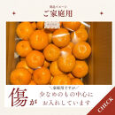 【ふるさと納税】【先行予約】有田みかん 早生 温州みかん 2.7kg（箱込み3kg） 家庭用 S～２Lサイズ 混合 柑橘 フルーツ みかん 産地直送 お取り寄せ 送料無料 温州ミカン