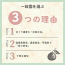 【ふるさと納税】【先行予約】&nbsp;八朔&nbsp;4kg&nbsp;家庭用&nbsp;サイズ混合&nbsp;柑橘&nbsp;フルーツ&nbsp;はっさく&nbsp;産地直送&nbsp;お取り寄せ&nbsp;送料無料