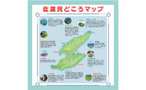 【新潟県佐渡】おけさ観光タクシー＜ヴェルファイア＞で巡る佐渡！5時間観光プラン　ラグジュアリーハイヤー