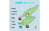 【新潟県佐渡】おけさ観光タクシー＜ヴェルファイア＞で巡る佐渡！5時間観光プラン　ラグジュアリーハイヤー