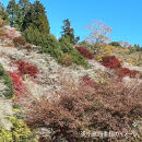 とよたユニバーサル旅行サポートクーポン（30,000円分）