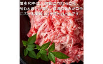 【定期便全12回】【訳あり】【A4〜A5ランク】博多和牛 切り落とし 250g