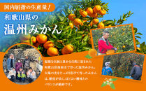 訳あり&nbsp;温州みかん&nbsp;約2kg&nbsp;小粒［2026年11月より順次発送予定］