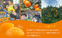 訳あり&nbsp;温州みかん&nbsp;約2kg&nbsp;小粒［2026年11月より順次発送予定］
