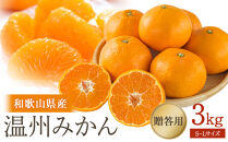 ［先行予約］贈答向け&nbsp;温州みかん&nbsp;約3kg&nbsp;S~Lサイズ混合&nbsp;［2025年11月下旬頃から順次発送予定］