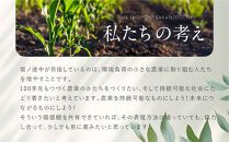 【坂ノ途中 海ノ向こうコーヒー】ドリップバッグコーヒー 4種詰合せギフトセット〈20個入〉［ 京都 珈琲 ブランド ドリップコーヒー 人気 おすすめ 珈琲 コーヒー ギフト プレゼント 贈答 お取り寄せ 通販 送料無料 ふるさと納税 ］