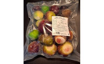 1004.冷凍いちじく（皮付き）1kg | 無花果 いちじく 冷凍無花果 冷凍いちじく 果物 フルーツ 新鮮 セット 鳥取県 北栄町 産地直送 おすすめ 人気 路地栽培