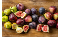 1005.生いちじく（詰め合わせ）1kg | 無花果 いちじく 生無花果 生いちじく 果物 フルーツ 新鮮 セット 鳥取県 北栄町 産地直送 おすすめ 人気 路地栽培