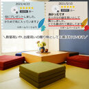 TOKURIごろ寝マット(ショートサイズ)【ネイビー】