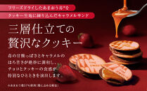 【お歳暮・期間限定12/18まで】《シャディ》THE SWEETS キャラメルサンドクッキー(オリジナル＆苺 計18個)｜京都 有名スイーツブランド 人気セット ご褒美スイーツ［ シャディ スイーツブランド 看板 キャラメルサンドクッキー ストロベリー 人気 おすすめ いちご 苺 クッキー スイーツ お菓子 チョコ ギフト プレゼント お取り寄せ 送料無料 ふるさと納税 ］