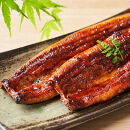 ふっくら大判うなぎ蒲焼　計約960ｇ（約320g×3尾）