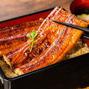 ふっくら大判うなぎ蒲焼　計約960ｇ（約320g×3尾）