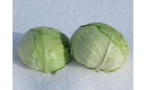 【先行予約】【数量限定】北海道産雪の下キャベツ２玉